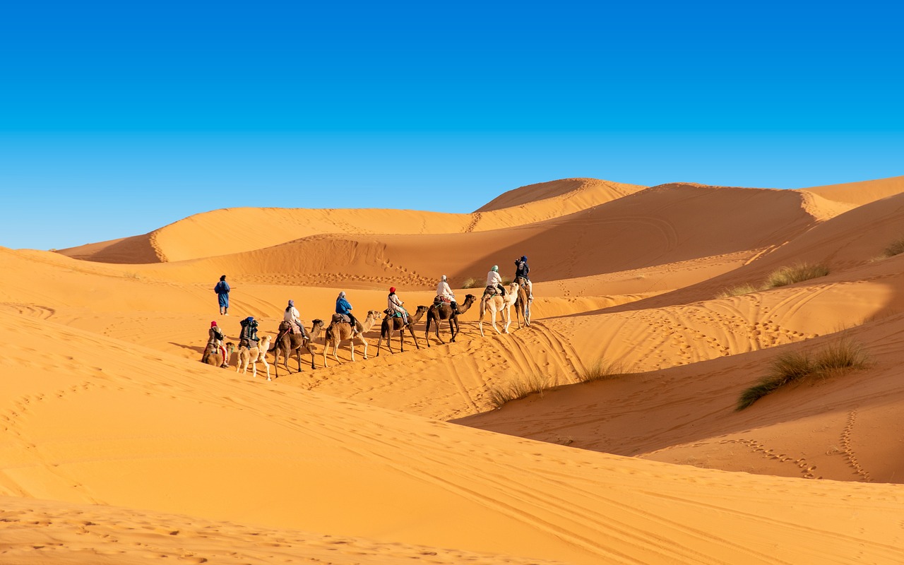 Tours from Marrakech