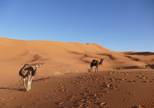 2 days tour from Fes to Marrakech